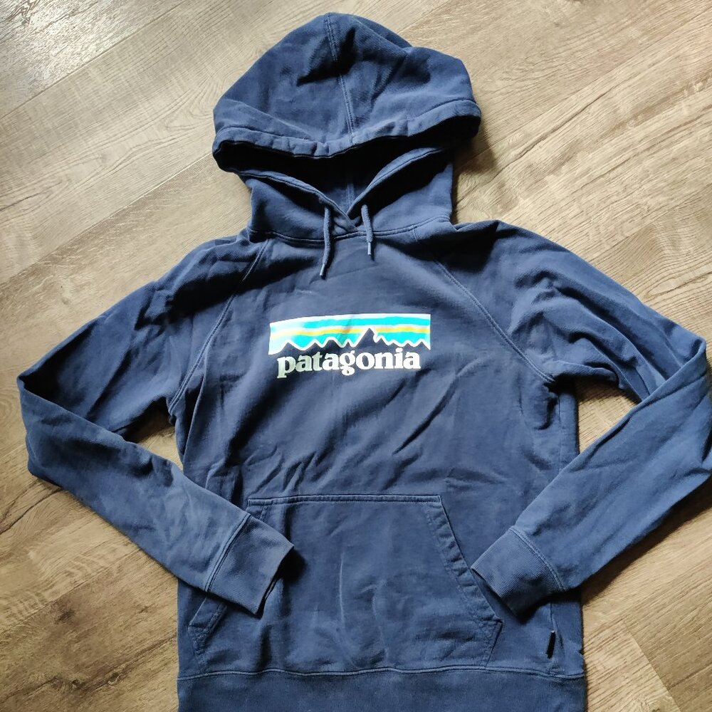 PATAGONIA: Organic Cotton Hoodie EUC Women's Medium Blue